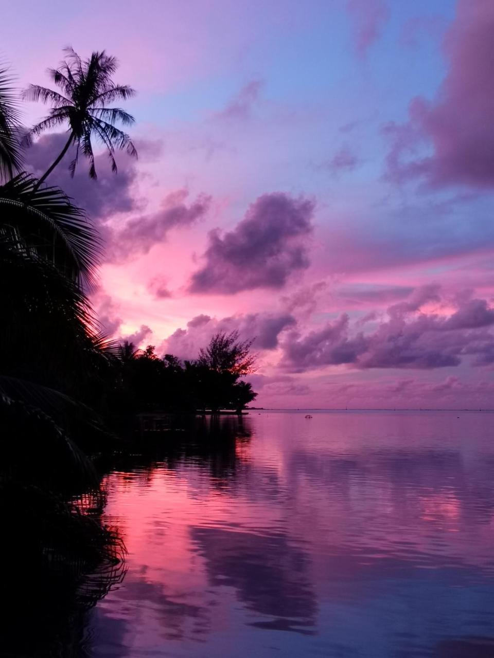 Lagoon Dream Moorea Exterior foto